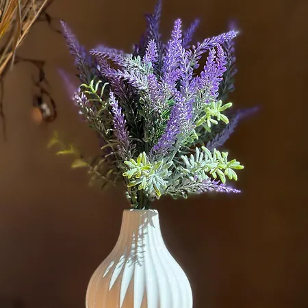 Vakantiehuis Le Samson *